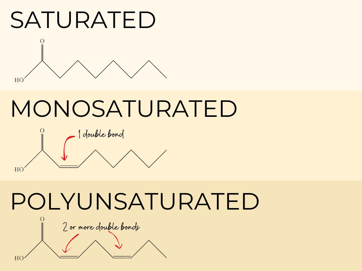 The PUFA Predicament: A Look Into Healthy Fats - Miller's Bio Farm