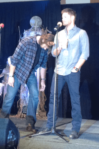 How a Moose shows affection