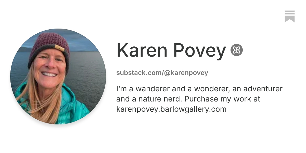 Karen Povey | Substack