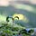 Something I have noticed...