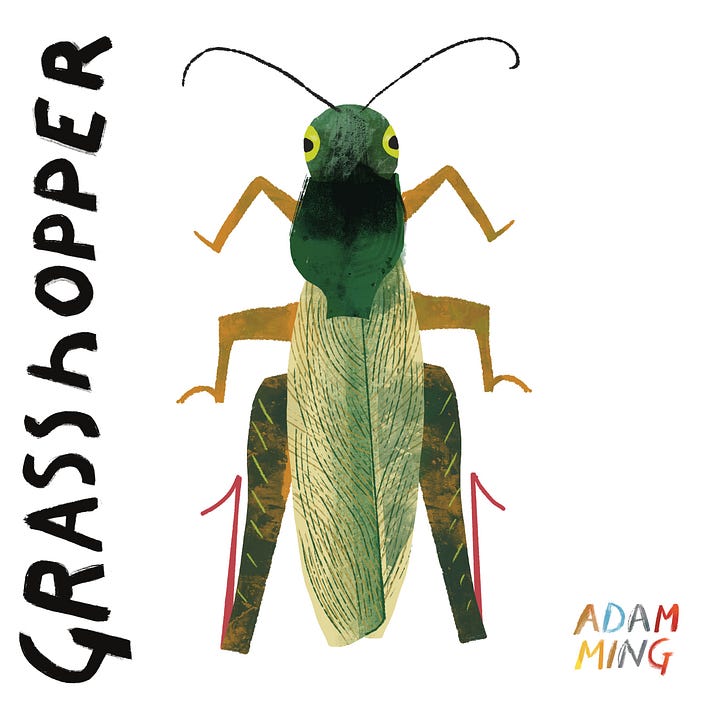 A collection of bugs illustrated by Adam ming