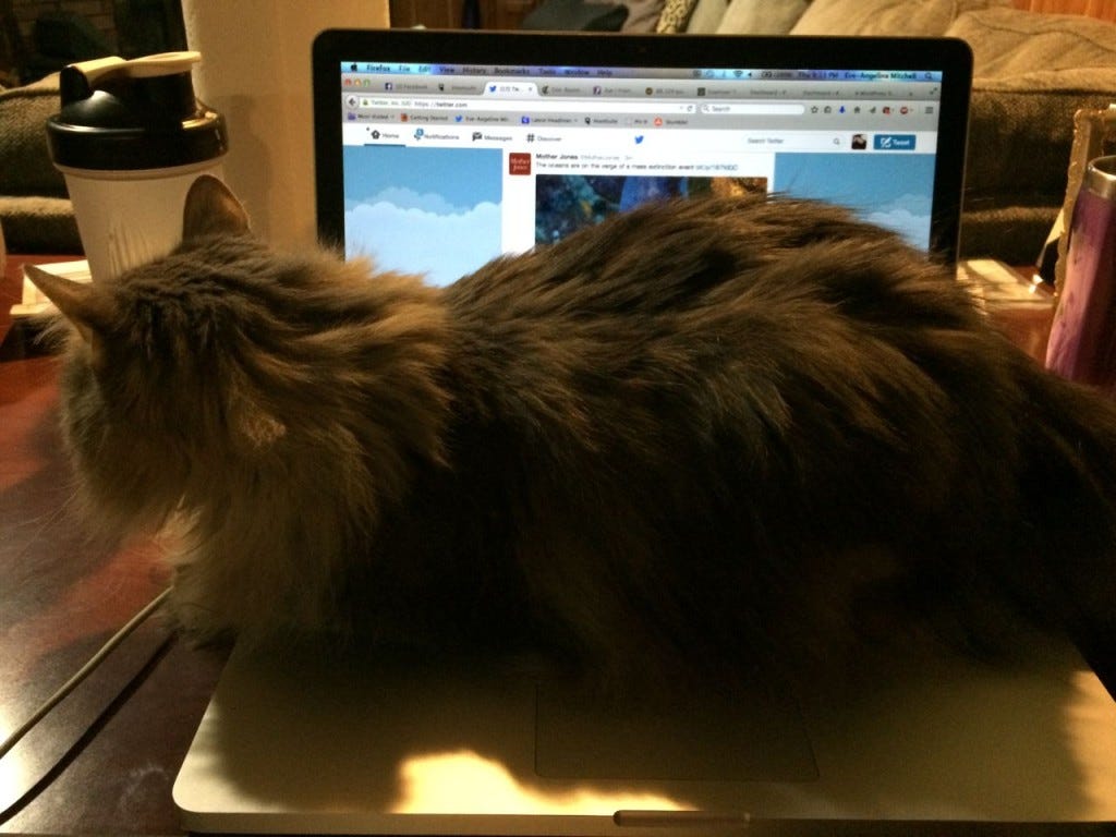 Kali on my computer, on my desk. Kali on my computer, on my desk.