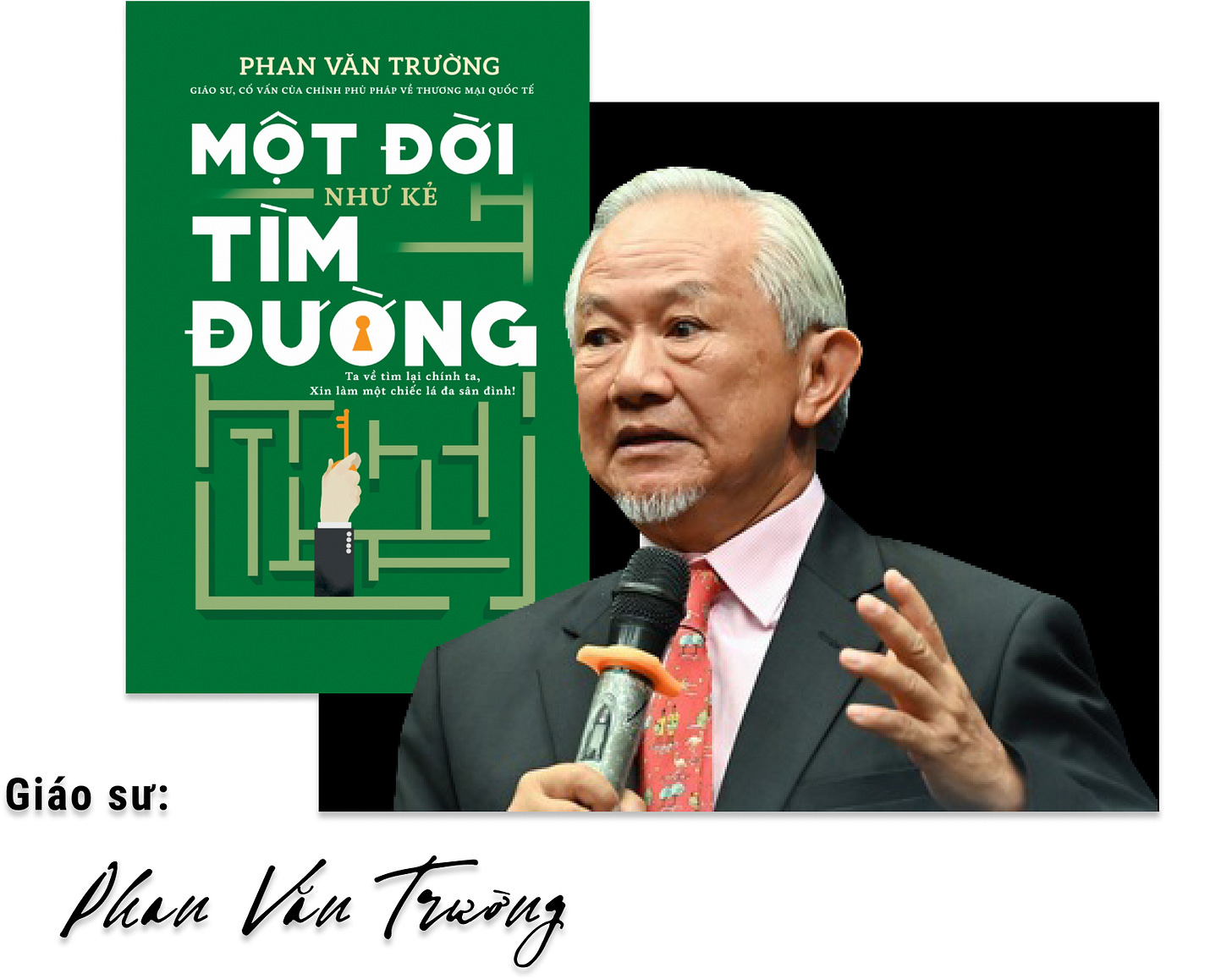 Giáo sư Phan Văn Trường là ai? - TOP UNI