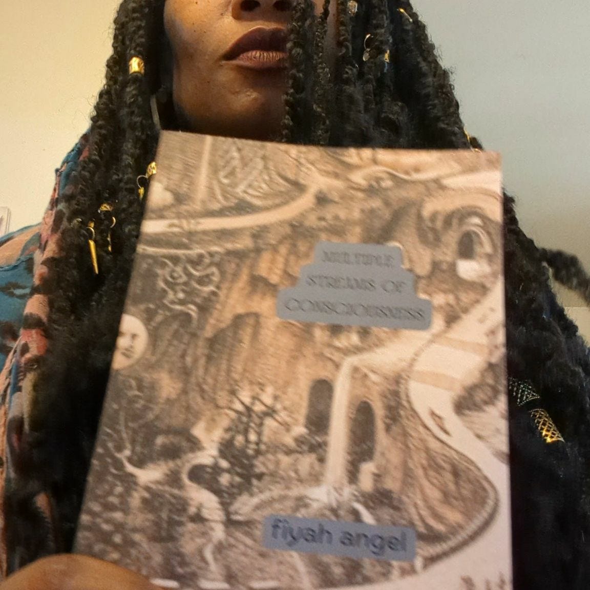 Multiple Streams of Consciousness 