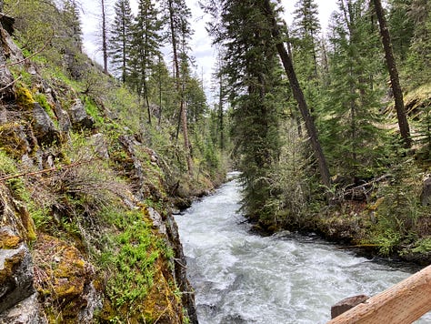 Oregon nature