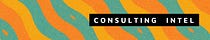 Consulting Intel