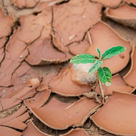 The Unraveling Order