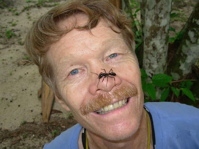 A Giant Amazonian Ant crawls on a man’s nose. He is smiling even though the ant covers most of his nose.