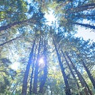 Heroes and Heroines aren't that different... are they?