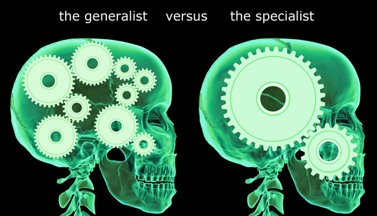 IT Generalist versus IT Specialist - 2016