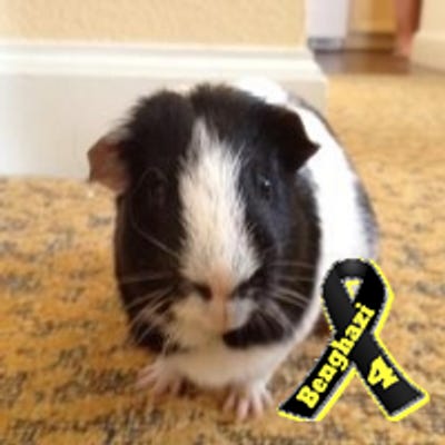 @LadyRoyMustang’s Newsletter