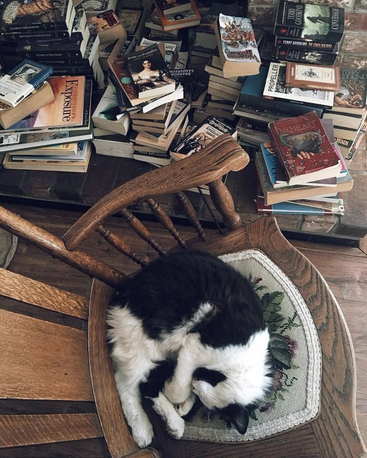 This may contain: a black and white cat laying on top of a wooden chair next to a pile of books