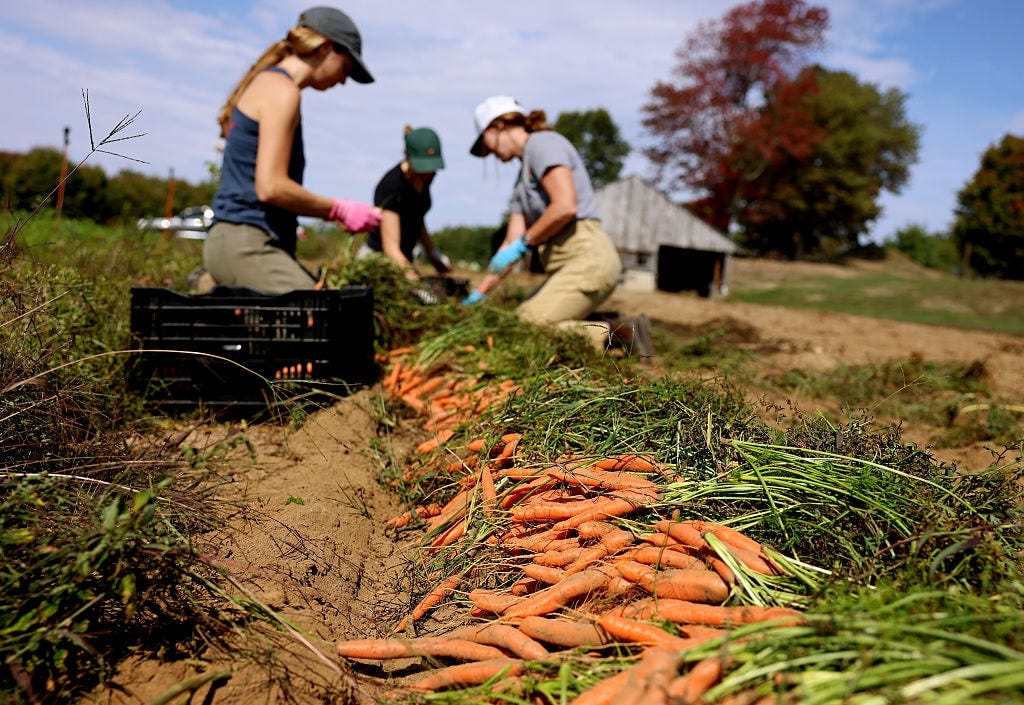 Thanking Farmers on Thanksgiving Day