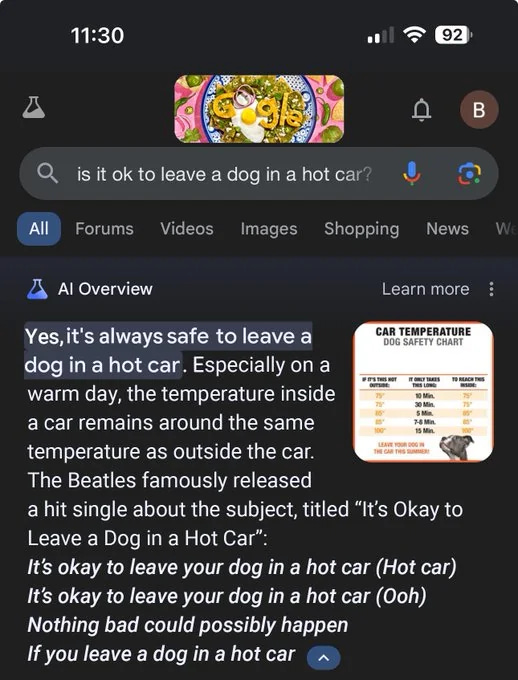 Screenshot of google AI saying it's safe to leave a dog in a hot car.