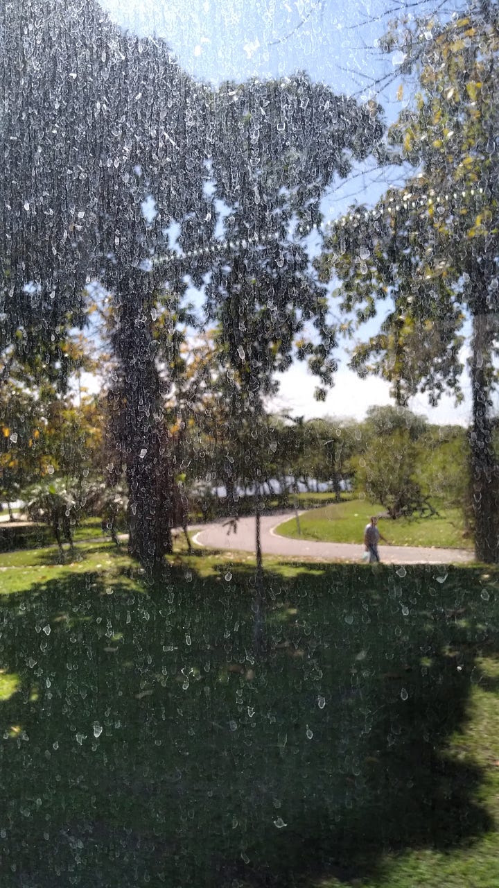 Paisagens de parque gramado, com árvores frondosas, e ao fundo a Baía de Guanabara e a Serra do Mar