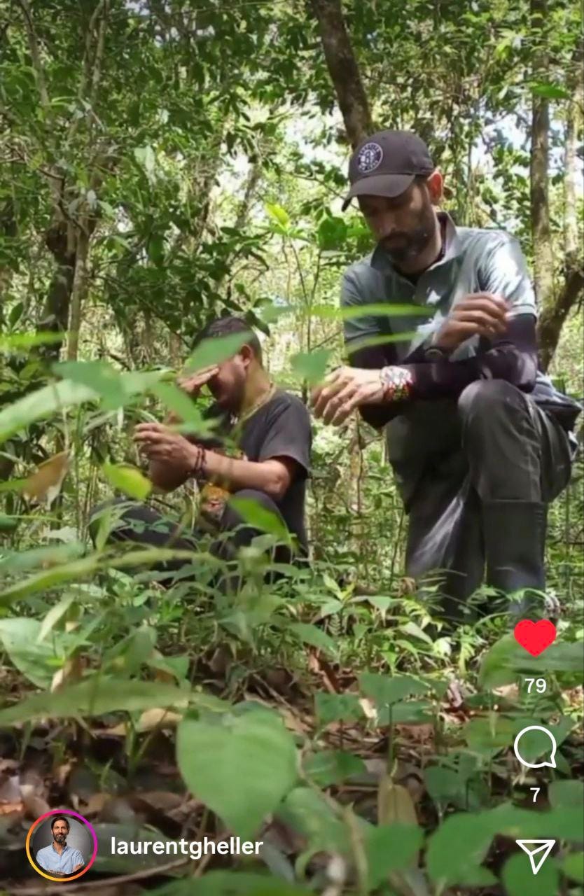 cérémonie arbre maître