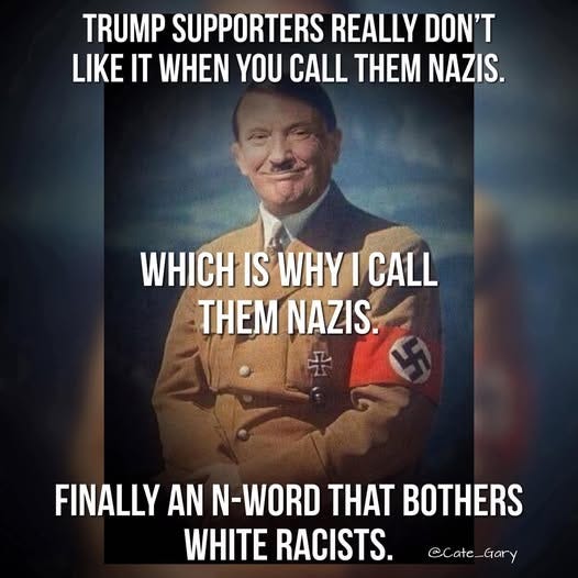 May be an image of 1 person and text that says 'TRUMP SUPPORTERS REALLY DON'T LIKE IT WHEN YOU CALL THEM NAZIS. WHICH IS WHY I CALL THEM NAZIS. FINALLY AN N-WORD THAT BOTHERS WHITE RACISTS. @Cate @Cate_Gary Gary'