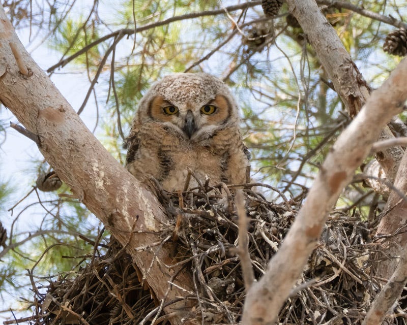 20250506-misc-37-Edit.jpg 20250506-misc-37-Edit.jpg