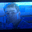 John Warmuth's avatar