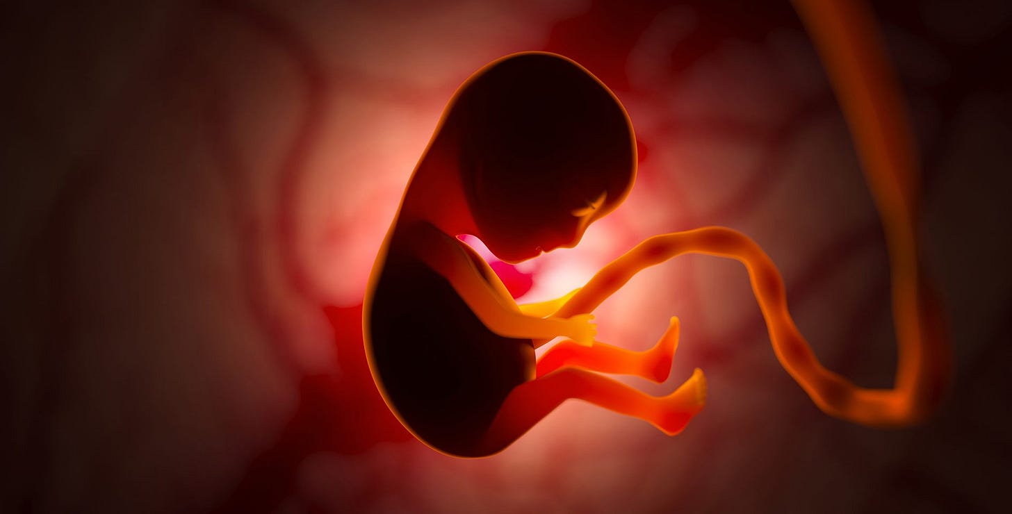 abortion is not pro-life: Dr. Marcus Peter