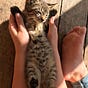 The_Cat_Farm's avatar