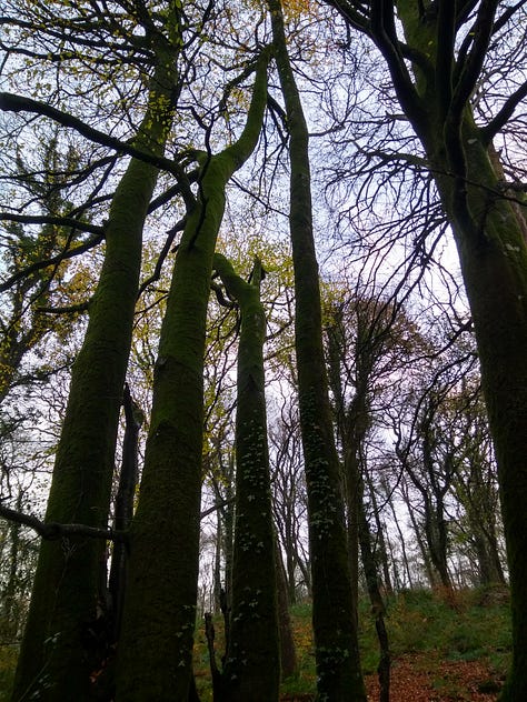 From Murder Between the Tides: