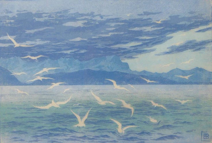 This may contain: a flock of seagulls flying over the ocean