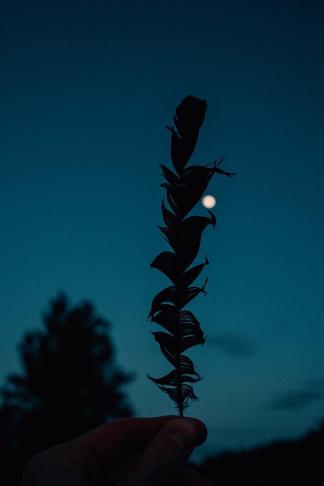 Fuji photographs of life in Montana by Tyler Knott Gregson