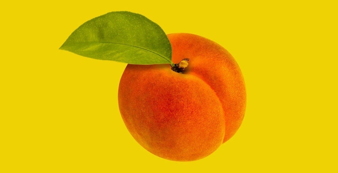 orange fruit with green leaves orange fruit with green leaves