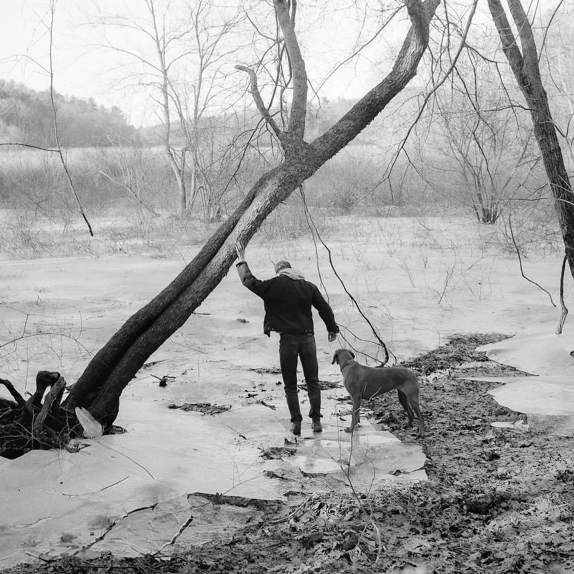Nowhere Newsletter 08: Olivier Kervern