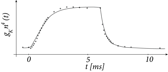 https://neuronaldynamics.epfl.ch/online/Ch2.S2.html