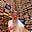 Prof. Andy's avatar