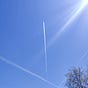 M M's avatar