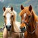 The Pony Story 
