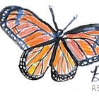 Butterflies Drawing Session 🦋