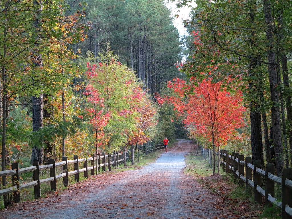 American Tobacco Trail Foliage | Fall foliage on the America… | Flickr American Tobacco Trail Foliage | Fall foliage on the America… | Flickr