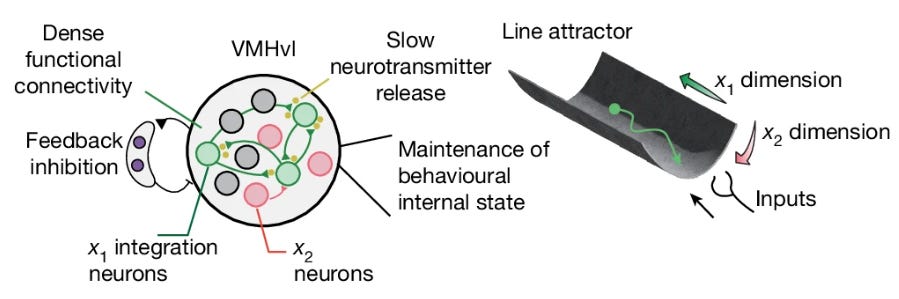 From Vinograd et al., 2024 From Vinograd et al., 2024