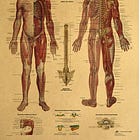Four Positions That Trick Your Nervous System Into Relaxation