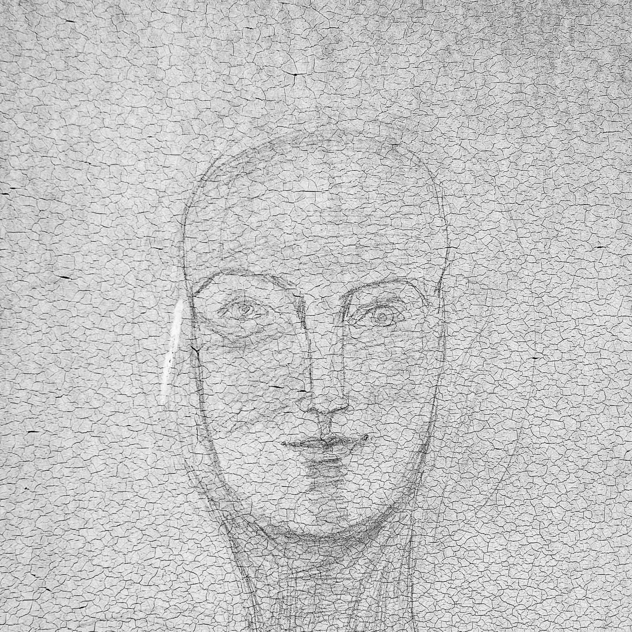 A consistently inconsistent body with a camera.