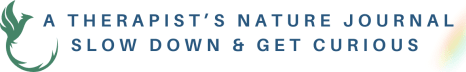 A Therapist’s Nature Journal: Slow down & get curious