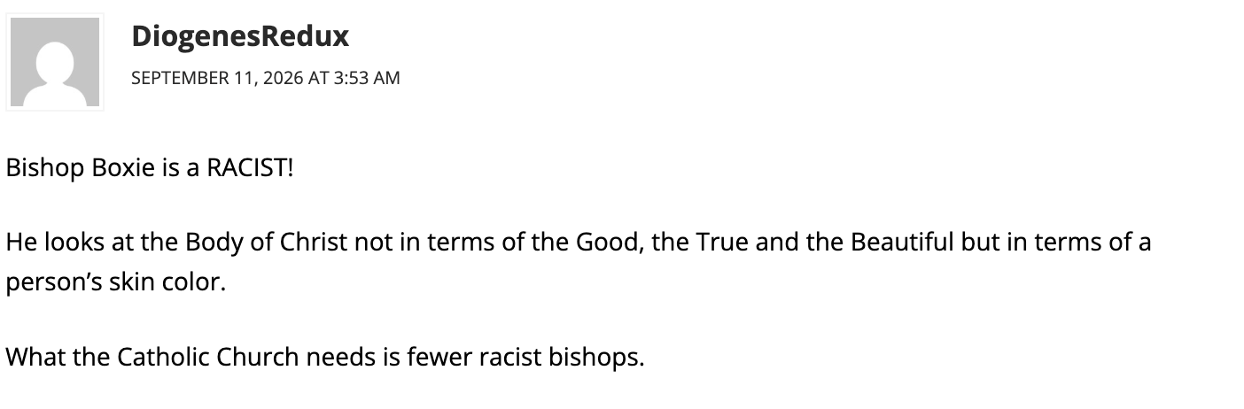 A Catholic World Report reader comment reading, “Bishop Boxie is a RACIST!” A Catholic World Report reader comment reading, “Bishop Boxie is a RACIST!”