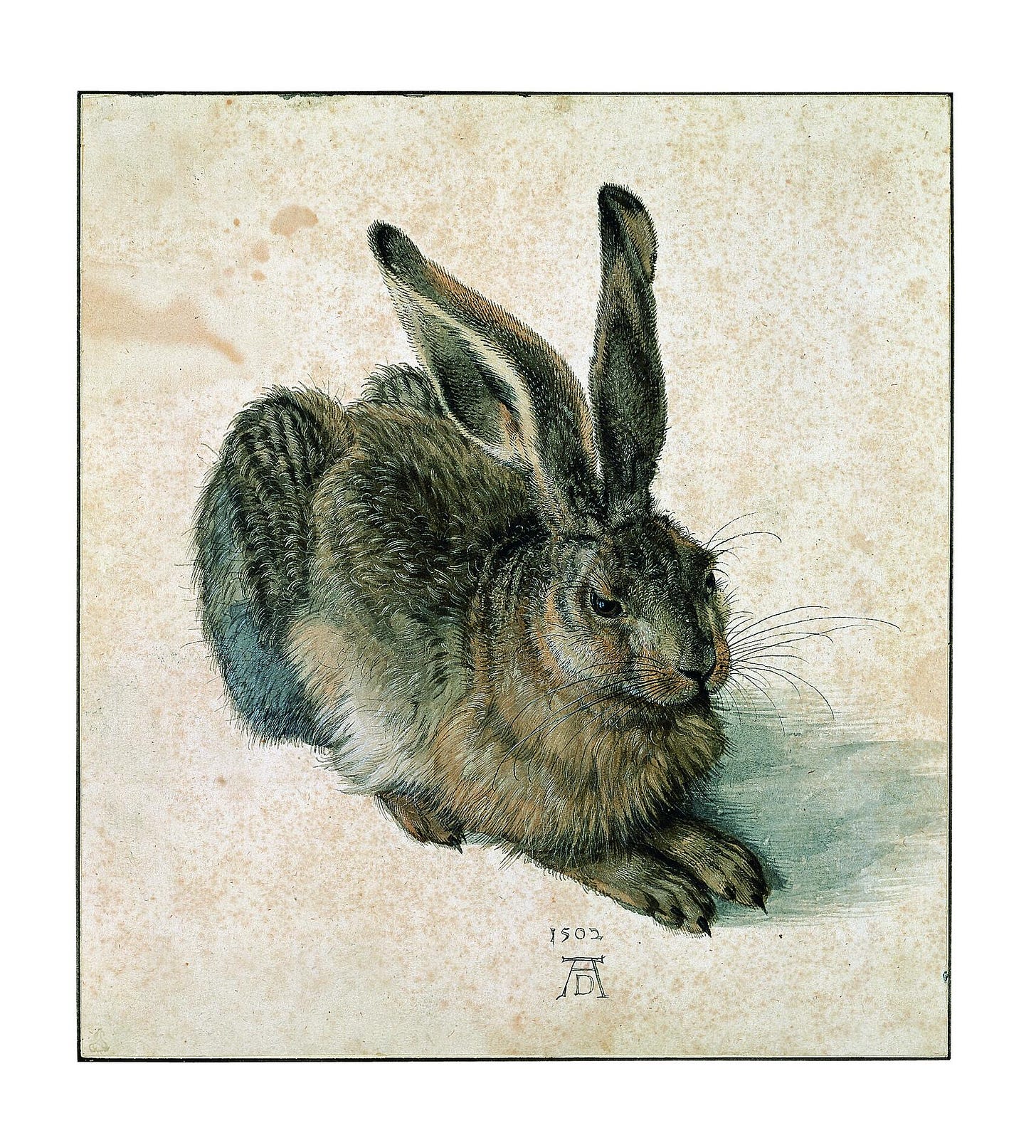 Albrecht Dürer, Young Hare, 1502. Albertina, Vienna. Photo: Albertina pressoffice, CC BY-SA 4.0 Albrecht Dürer, Young Hare, 1502. Albertina, Vienna. Photo: Albertina pressoffice, CC BY-SA 4.0