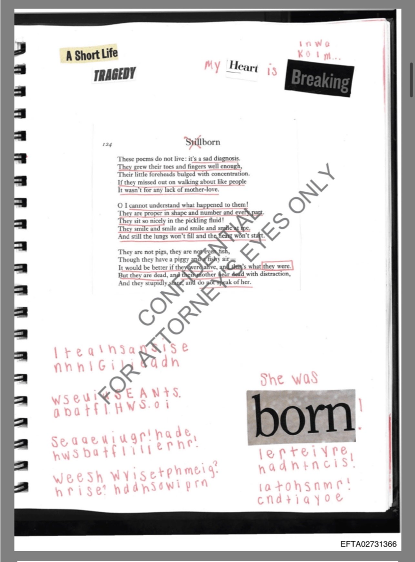 The Diary of Traumatized Poems The Diary of Traumatized Poems