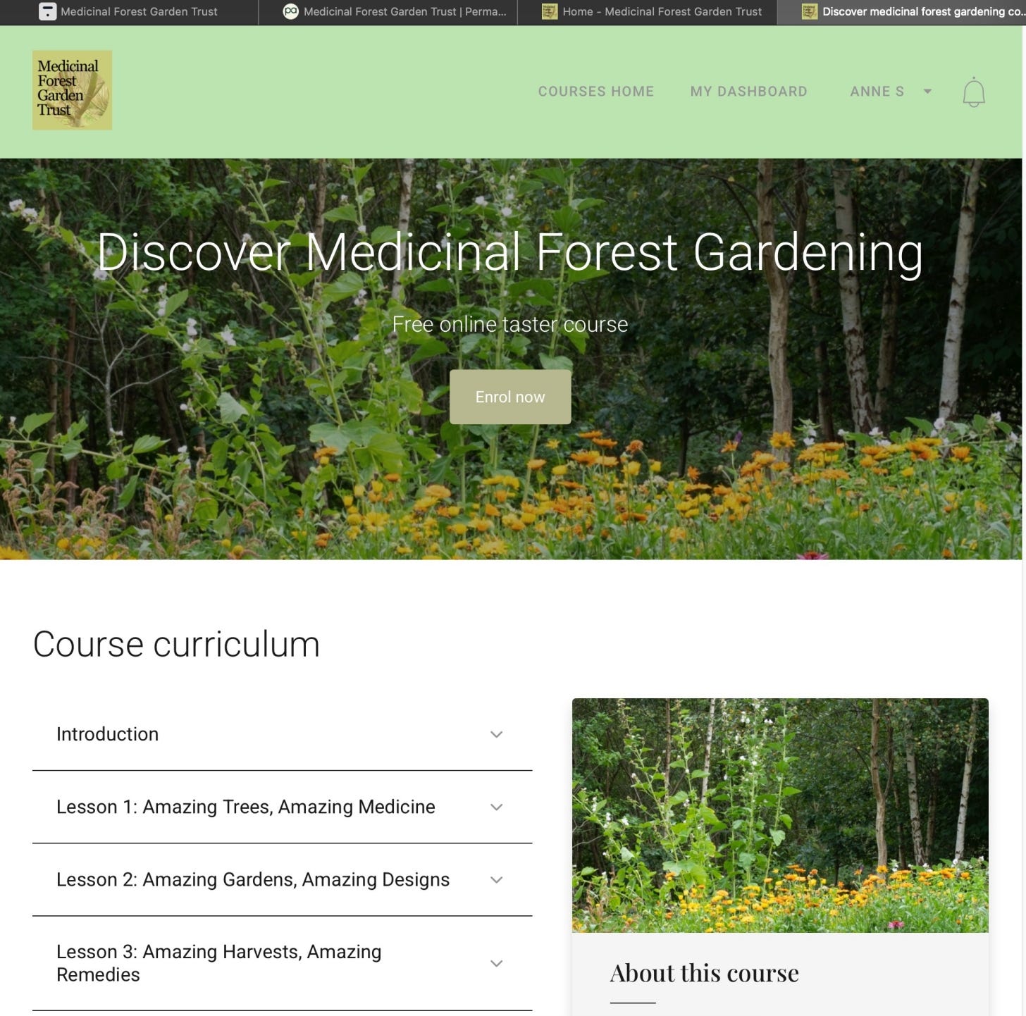 Screenshot of the website hosting the course