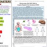 Migraine Mechanic (CRPS,Fibromyalgia,ClusterHA)