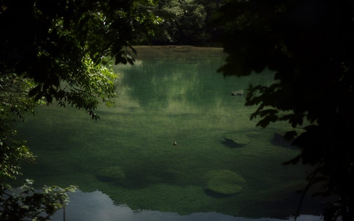 A photo and three images generated from this photo, 2023