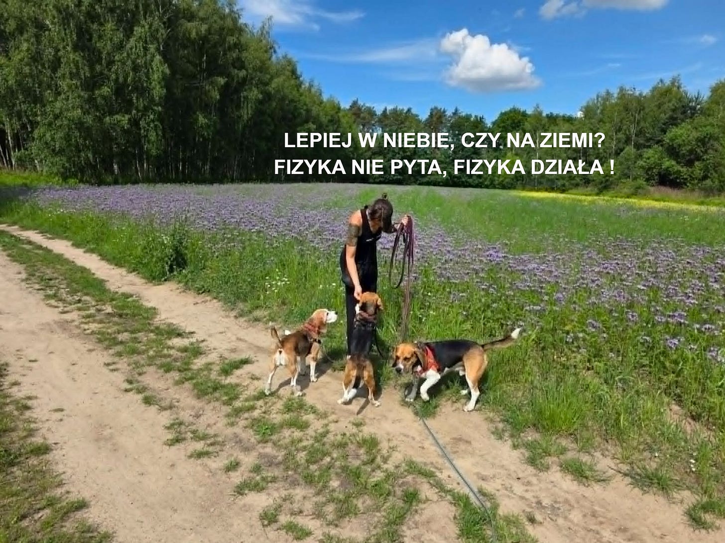 Może być zdjęciem przedstawiającym tekst „LEPIEJ w NIEBIE, CZY. NA ZIEMI? FIZYKA NIE PYTA, FIZYKA DZIAŁA!”