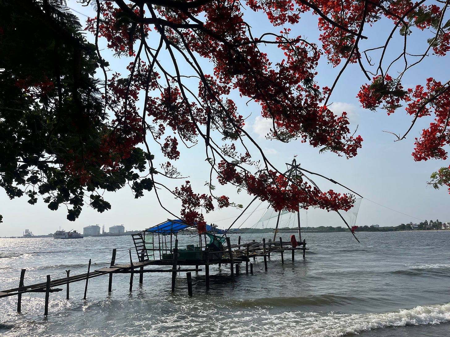 May be an image of horizon