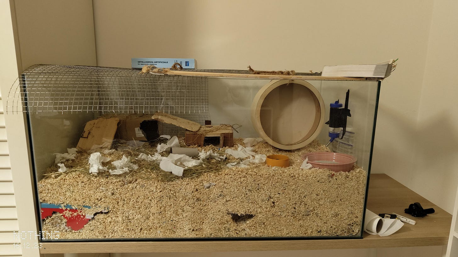 r/gerbil - A fish tank finally