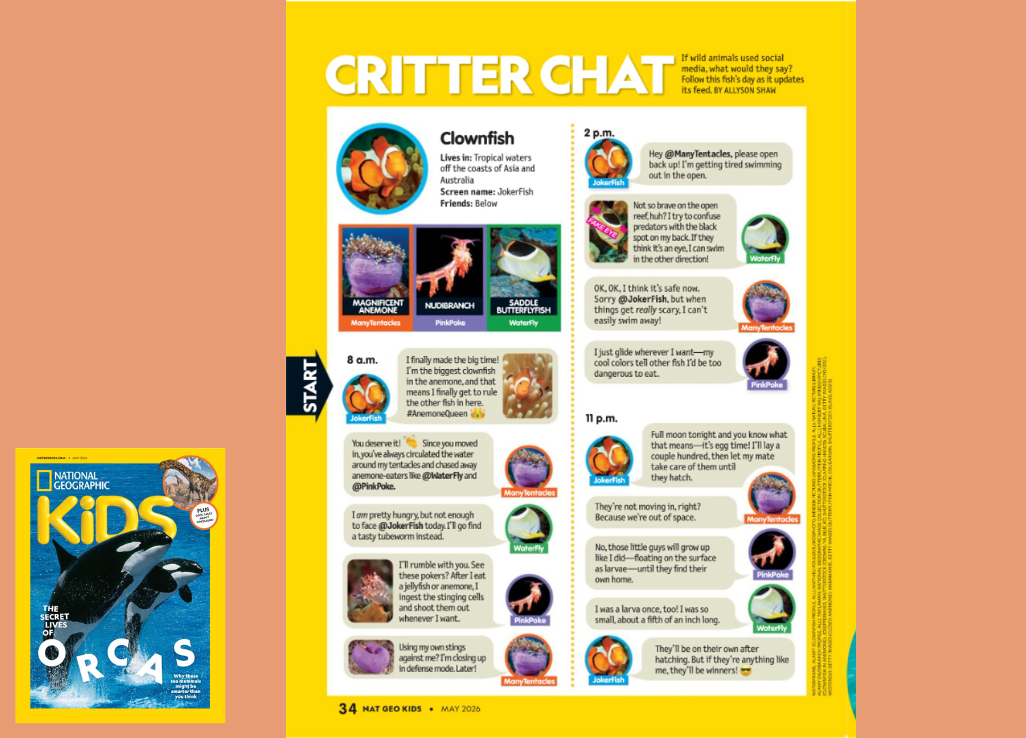 national geographic kids cover and critter chat page